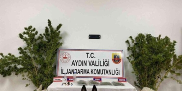 aydin’da-jandarmanin-kacakcilik-operasyonlarinin-bilancosu-aciklandi