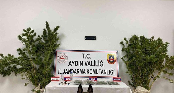 Aydın’da Jandarmanın kaçakçılık operasyonlarının bilançosu açıklandı