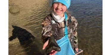 9-yasindaki-kiz-sahilde-megalodon-kopekbaligi-disi-buldu