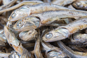 saglikli-diye-yiyoruz-ama-vucudu-mahvediyor!-baligin-sasirtan-zarari