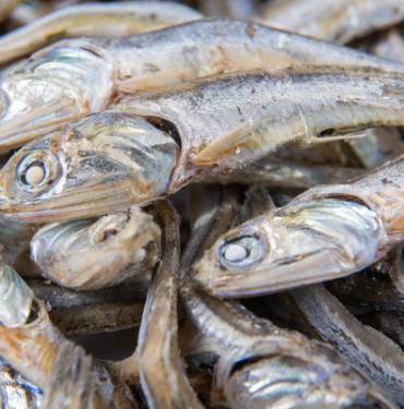 saglikli-diye-yiyoruz-ama-vucudu-mahvediyor!-baligin-sasirtan-zarari