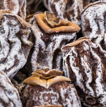 sadece-bir-tanesi-bile-omrunuze-omur-katiyor!-degeri-yeteri-kadar-bilinmiyor