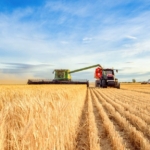 iklime-direncli-tarim-agi-projesi