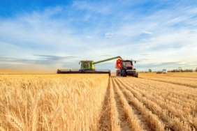 iklime-direncli-tarim-agi-projesi