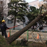 bursa’da-siddetli-lodosun-etkisi-suruyor