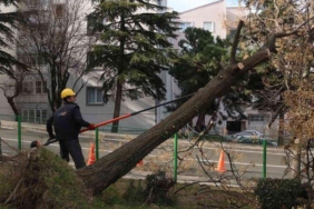 bursa’da-siddetli-lodosun-etkisi-suruyor
