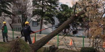bursa’da-siddetli-lodosun-etkisi-suruyor