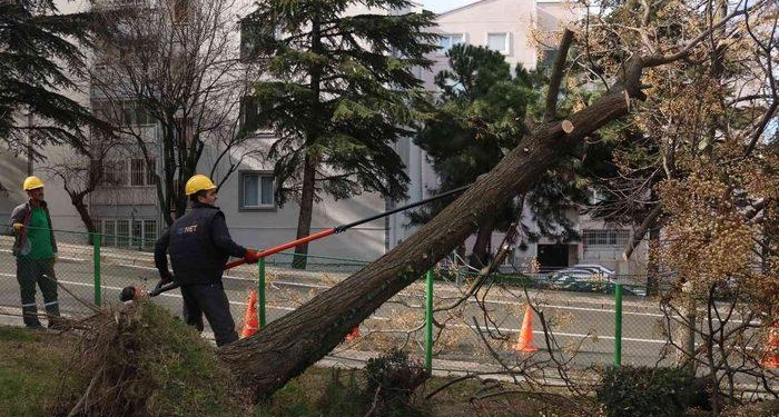 Bursa’da şiddetli lodosun etkisi sürüyor