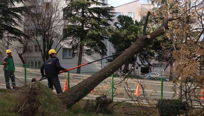 bursa’da-siddetli-lodosun-etkisi-suruyor