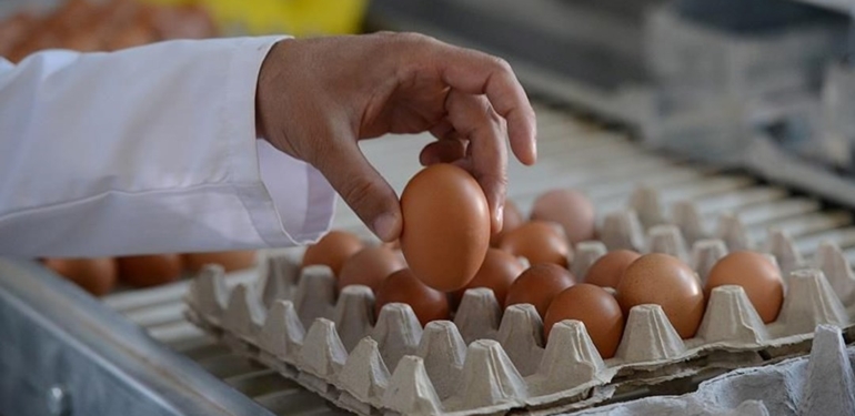 Kuş gribi salgını ve enflasyon, ABD’de yumurta fiyatlarını artırdı