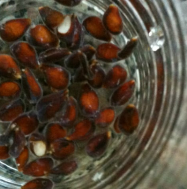 kendi-kucuk-etkisi-buyuk:-sakin-cope-atmayin!-cildi-genclestiriyor,-oksurugu-kesiyor