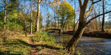 sig-zit-anlamlisi-nedir?-sig-kelimesinin-zit-anlamlilari-nelerdir?