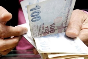 tarih-bilgisi-verilmisti:-memur-ve-emekli-(bagkur,-ssk)-maas-farklari-yatti-mi?