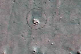 astronomlar-mars’ta-bir-‘ayi’-kesfetti