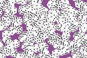 sadece-yuksek-iq’lular-cozebiliyor:-7-benekli-zar-nerede?