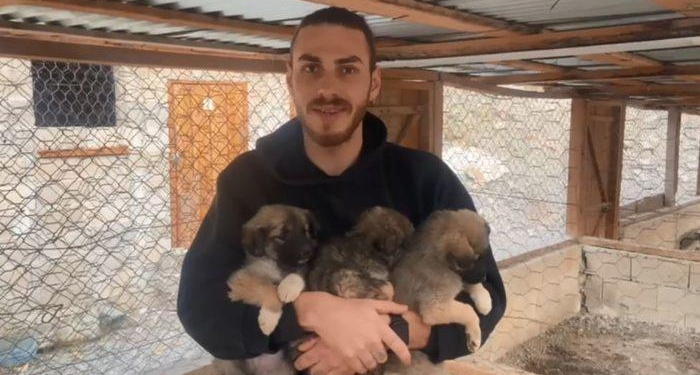 Yıkılan beton bloklarda mahsur kalan yavru köpekler, iş makinesi yardımıyla kurtarıldı
