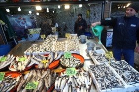 hamsinin-kilogrami-50-75-liradan-satiliyor