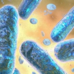 bilim-insanlari-yari-canli-siborg-hucreleri-gelistirdi