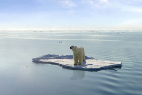 dunyanin-gelecegi-alarm-veriyor:-antarktika’daki-deniz-buzu-43-yilin-en-dusuk-seviyesine-geriledi