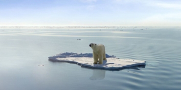 dunyanin-gelecegi-alarm-veriyor:-antarktika’daki-deniz-buzu-43-yilin-en-dusuk-seviyesine-geriledi
