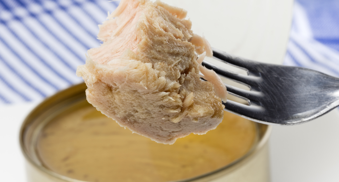 Sağlıklı diye yiyoruz ama içi zehirden farksız! Ton balığı tehlikesine dikkat