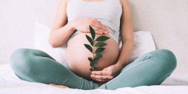 fitoterapi-ile-gebelik-tedavisi-nedir?-fitoterapi-hamile-kalmaya-yardimci-olur-mu,-gebelik-icin-fitoterapi-uygulamalari-nedir?