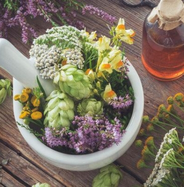 kanserde-fitoterapi-nedir,-kemoterapiyle-kullanilir-mi?-fitoterapi-kanser-tedavisinde-etkili-mi,-nasil-etki-eder?