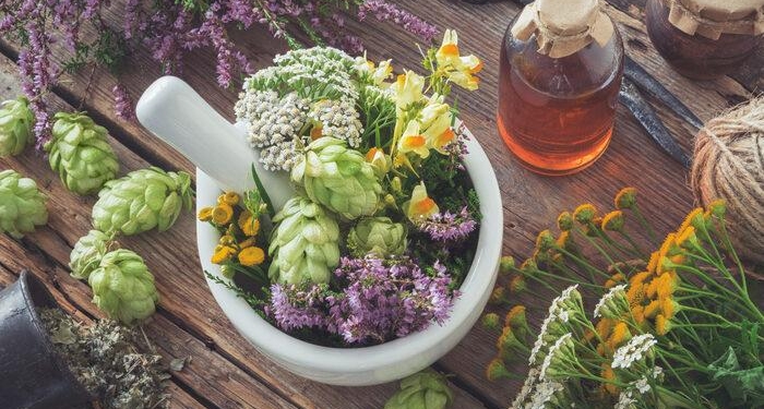 Kanserde fitoterapi nedir, kemoterapiyle kullanılır mı? Fitoterapi kanser tedavisinde etkili mi, nasıl etki eder?