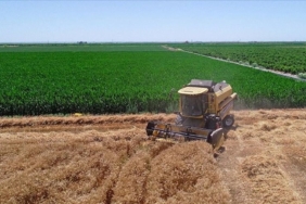 subat-ayi-mazot-gubre-destegi-ne-zaman-yatacak?-tarim-ve-orman-bakanligi-tarih-verdi