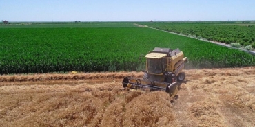 subat-ayi-mazot-gubre-destegi-ne-zaman-yatacak?-tarim-ve-orman-bakanligi-tarih-verdi