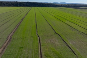 deprem-bolgesindeki-rekoltede-goc-belirleyici-olacak