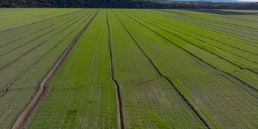 deprem-bolgesindeki-rekoltede-goc-belirleyici-olacak