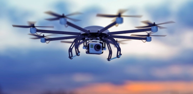 Ölü kuşları drone olarak dolduracaklar