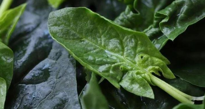 Çok sevilen kış sebzesi tekrar ısıtıldığında zehirliyor