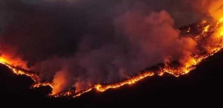 Meksika’da orman yangınları nedeniyle acil durum ilan edildi