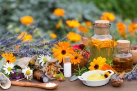homeopati-ile-fitoterapi-arasindaki-fark-nedir?-homeopati-ve-fitoterapi-uygulamalari-nasil-yapilir?