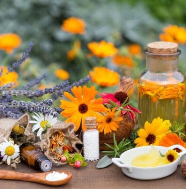 homeopati-ile-fitoterapi-arasindaki-fark-nedir?-homeopati-ve-fitoterapi-uygulamalari-nasil-yapilir?