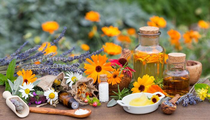 homeopati-ile-fitoterapi-arasindaki-fark-nedir?-homeopati-ve-fitoterapi-uygulamalari-nasil-yapilir?