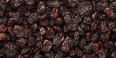 tikanan-bagirsaklari-aninda-bosaltiyor