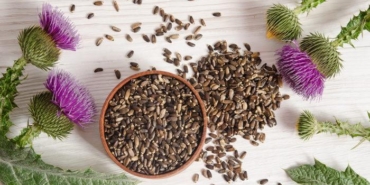 sevketibostan-otu-faydalari-ve-zararlari-nelerdir,-nelere-iyi-gelir?-sevketibostan-otu-nasil-toplanir-ve-temizlenir?