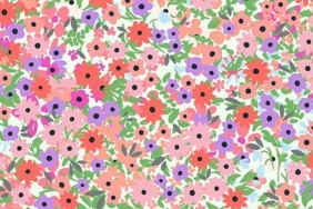 sadece-yuksek-iq’lular-cozebiliyor:-gorselde-gizlenen-cantayi-bulabilir-misiniz?