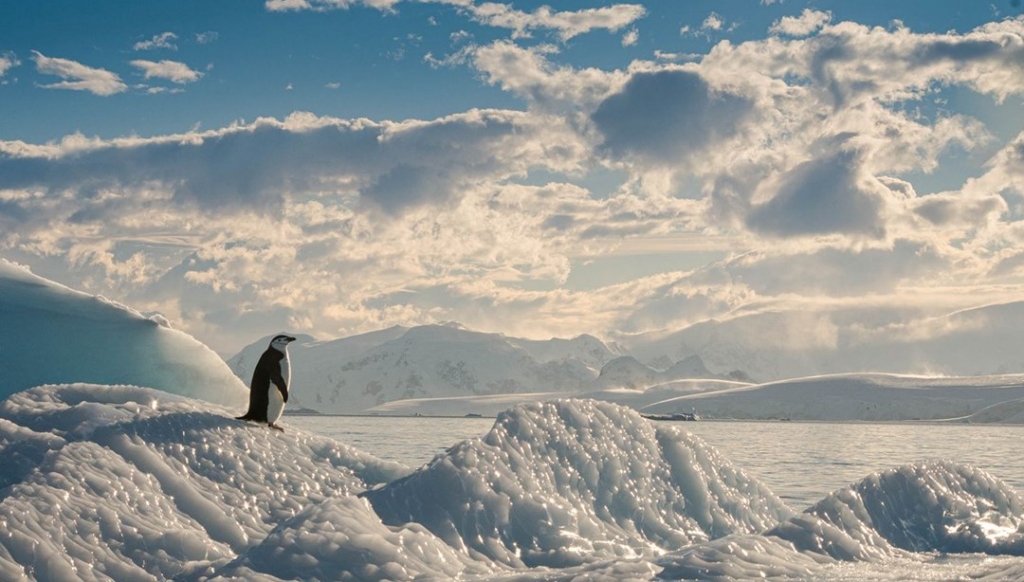 bilim-insanlari-uyardi:-antarktika-buzullarinin-erimesi-nedeniyle-okyanuslar-daha-az-karbondioksit-emiyor