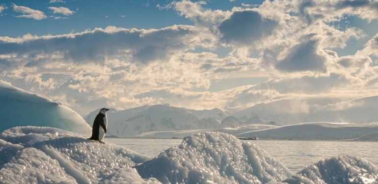 Bilim insanları uyardı: Antarktika buzullarının erimesi nedeniyle okyanuslar daha az karbondioksit emiyor