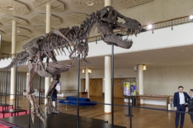 “trinity”-muzayedeye-cikiyor:-nadir-bulunan-70-milyon-yillik-fosil-rekor-fiyata-satilacak