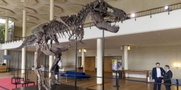 “trinity”-muzayedeye-cikiyor:-nadir-bulunan-70-milyon-yillik-fosil-rekor-fiyata-satilacak