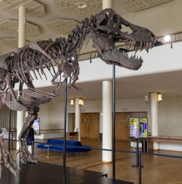 “trinity”-muzayedeye-cikiyor:-nadir-bulunan-70-milyon-yillik-fosil-rekor-fiyata-satilacak