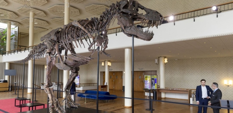 “Trinity” müzayedeye çıkıyor: Nadir bulunan 70 milyon yıllık fosil rekor fiyata satılacak