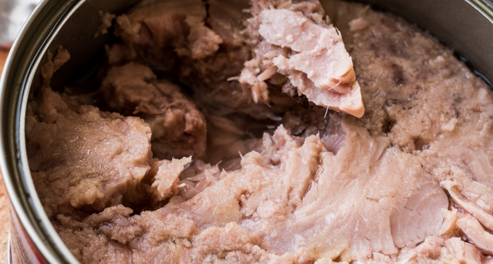 Kalp sağlığını kalkan gibi koruyor! Protein deposunu sofranızdan eksik etmeyin