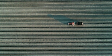 polonya,-ukrayna-kaynakli-tahil-krizi-nedeniyle-ciftcilere-tazminat-odeyecek