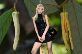 k-pop-grubu-blackpink-yildizinin-adi-yeni-kesfedilen-bitkiye-verildi:-lisa-manoban-kimdir?